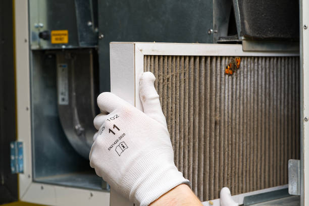 Best Residential Air Duct Cleaning  in Belmont, MS